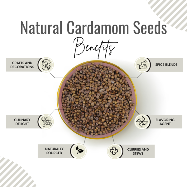 Cardomom Seeds | Elettaria cardamomum - Image 3