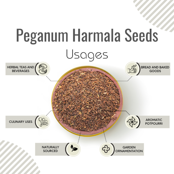 Peganum Harmala Seed | Wild rue - Image 3