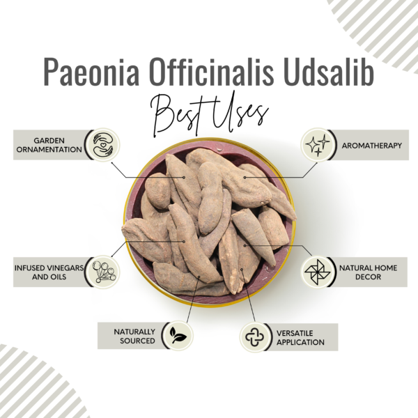 Udsalib  | White Peony Root | Paeonia Officinalis - Image 3