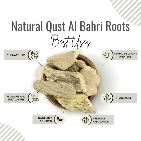 Qust Al Bahri | White Costus Root - Image 3