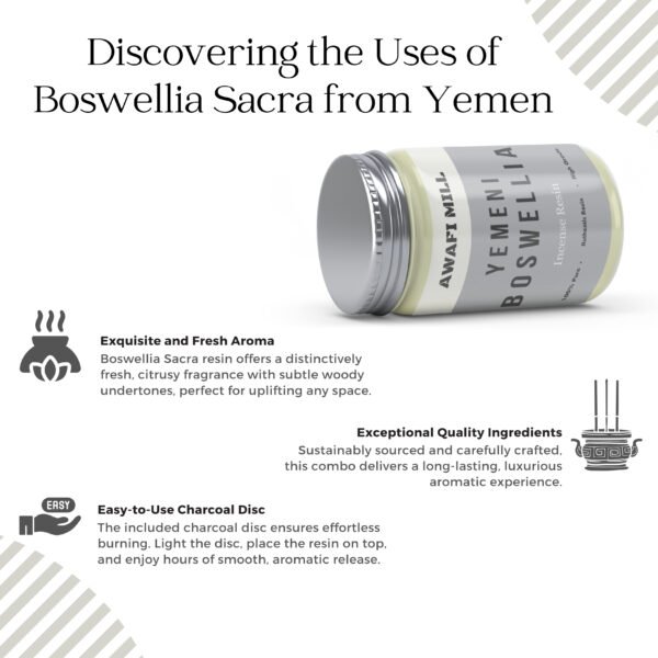 Boswellia Sacra from Yemen with Triangle Charcoal Tablet - Image 3