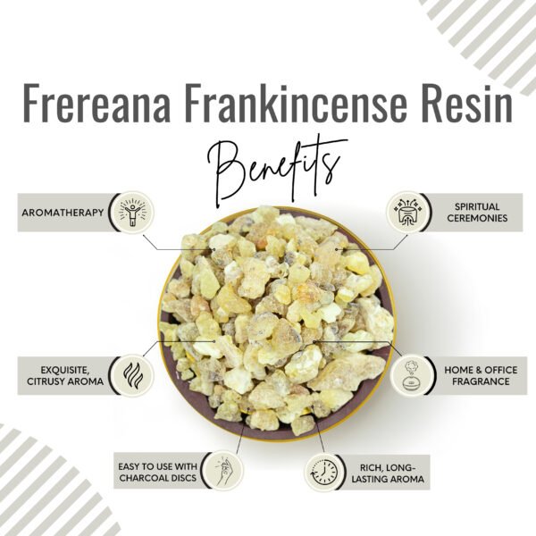 Frereana Frankincense With Triangle Charcoal Tablet - Image 3