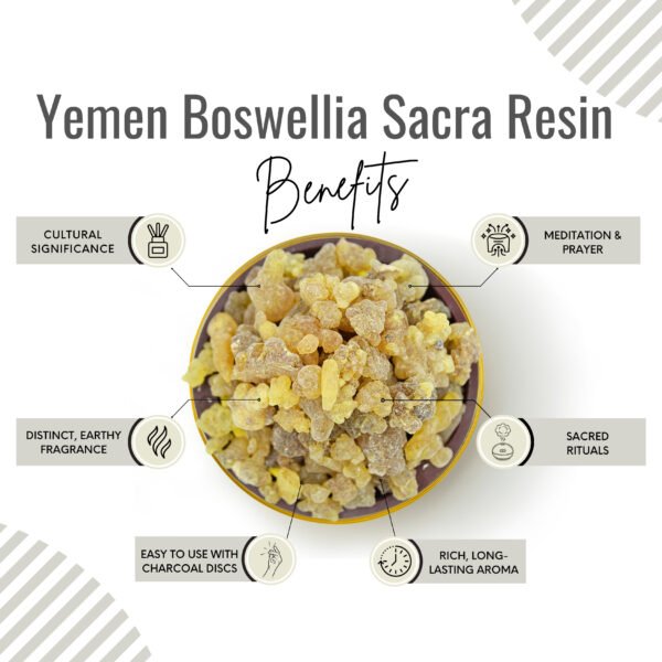 Boswellia Sacra from Yemen with Charcoal Tablet - Image 3