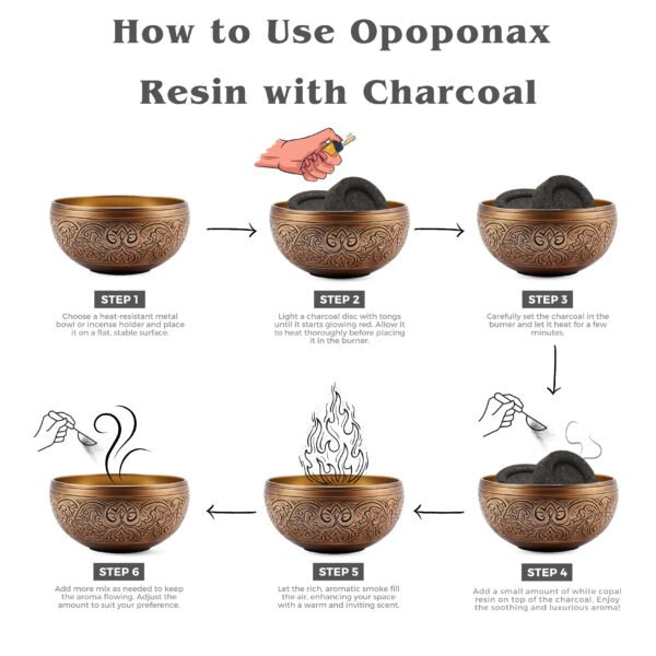 Opoponax Resin With Charcoal Tablet - Image 4