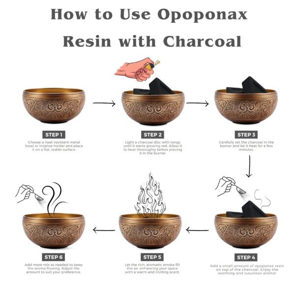 Opoponax Resin With Triangle Charcoal Tablet - Image 4