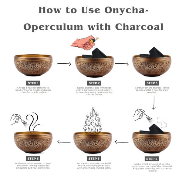 Onycha Operculum With Triangle Charcoal Tablet - Image 4