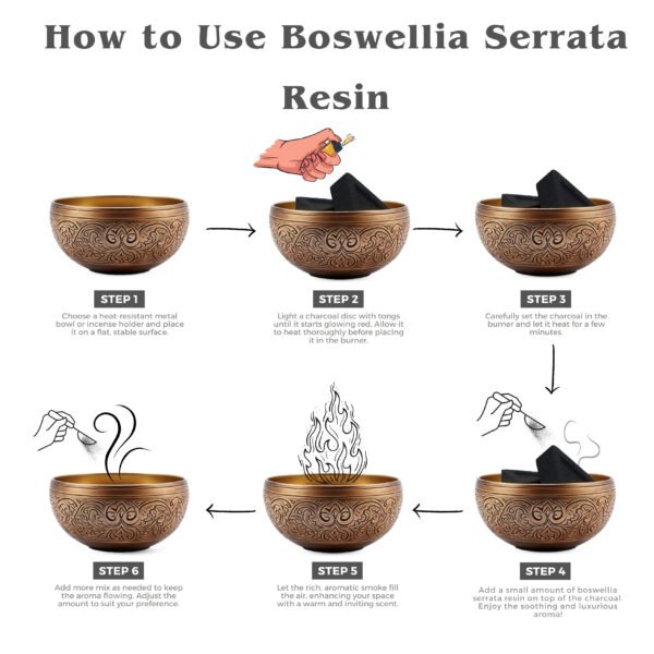 Indian Boswellia serrata With Triangle Charcoal Tablet - Image 4