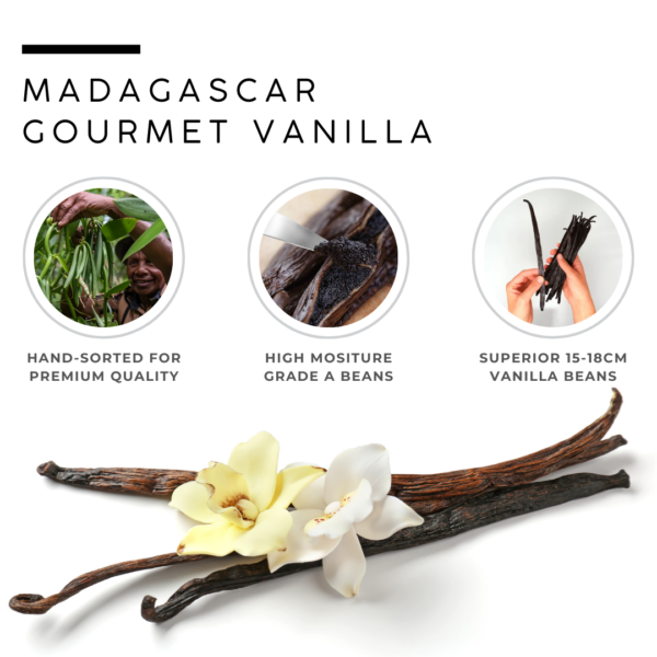 Madagascar Beans | Bourbon vanilla - Image 2