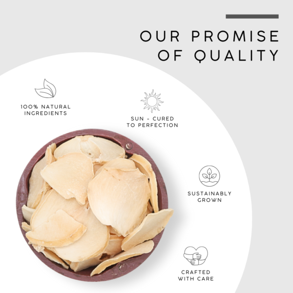 Dried Garlic Slices | Dehydrated Garlic Flakes - Image 5