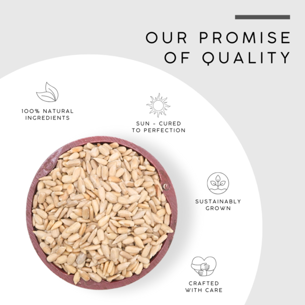 De-Shelled Sunflower Seeds | Hulled Sunflower Kernels - Image 5