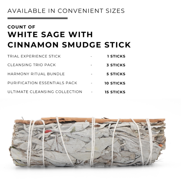 White Sage with Cinnamon Smudge Stick - Image 6
