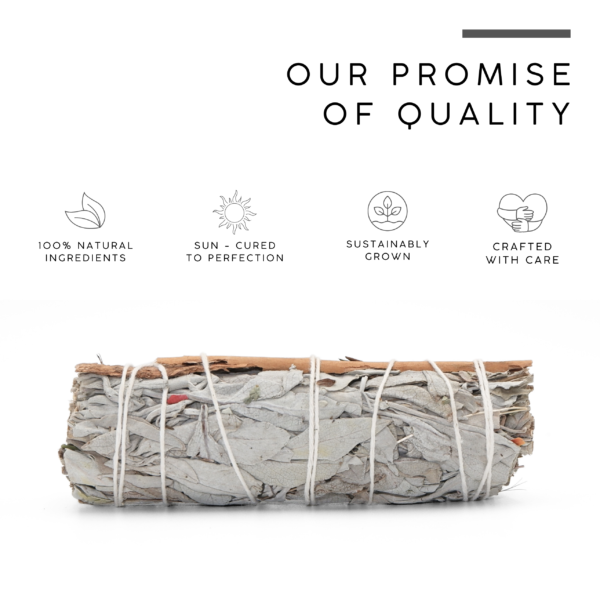 White Sage with Cinnamon Smudge Stick - Image 4
