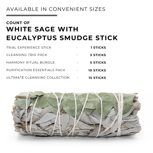 White Sage with Eucalyptus Smudge Stick - Image 6