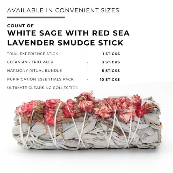 White Sage with Red Sea Lavender Floral Smudge Stick - Image 6