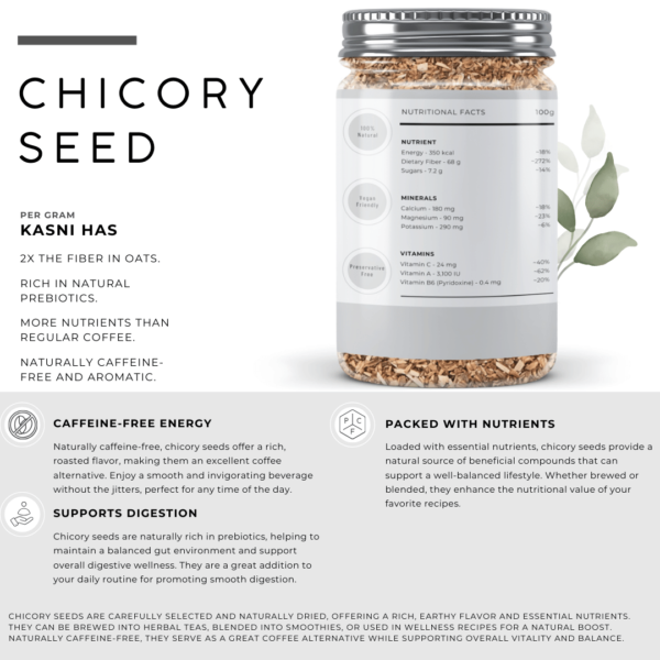 Chicory Seeds | Kasni Seeds - Image 2