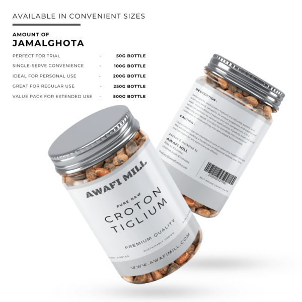 Croton Tiglium Seeds | Jamalghota Seeds - Image 6