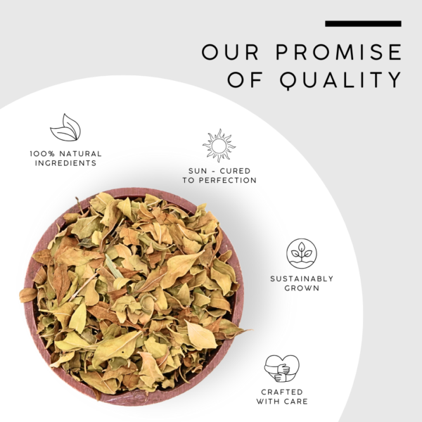 Henna Leaves | Naturally Dried Lawsonia Inermis - Image 5