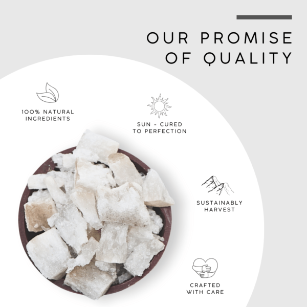 Ras kapoor | Mercuric Camphor Salt - Image 5
