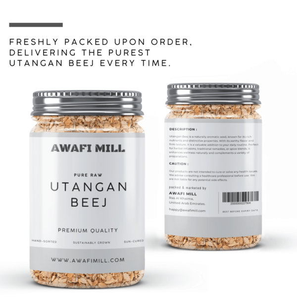 Utangan Beej | Blepharis edulis - Image 4