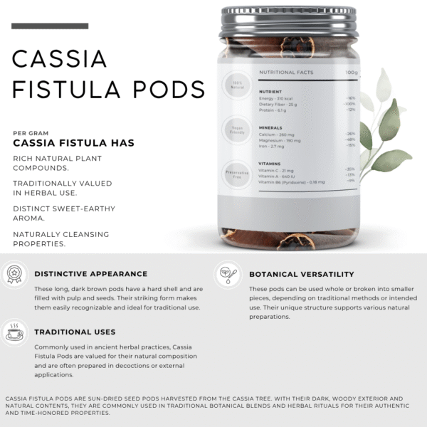 Cassia Fistula Pods | Whole Golden Shower Tree Pods | - Image 2