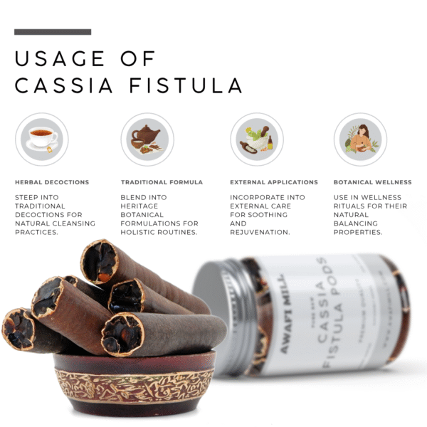 Cassia Fistula Pods | Whole Golden Shower Tree Pods | - Image 3