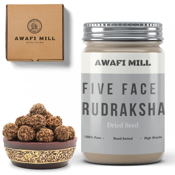 Rudraksha Beads | Sacred Prayer Seeds