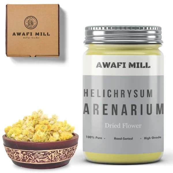 Helichrysum Flower | Helichrysum Italicum