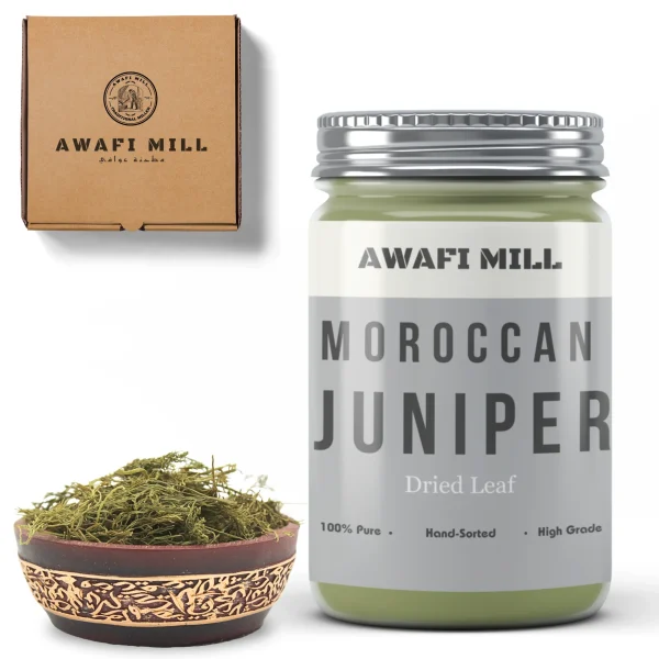 Juniper Leaves | Juniperus Monosperma Foliage