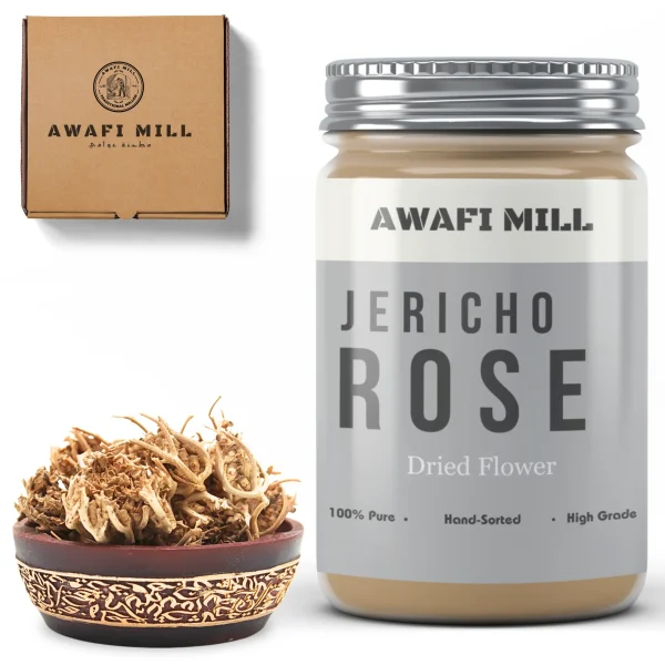 Jericho Rose | Chajarat Mariam